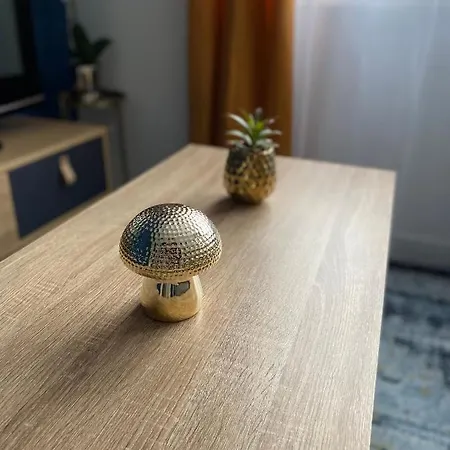 Apartment Superbe T2 Style Scandinave
