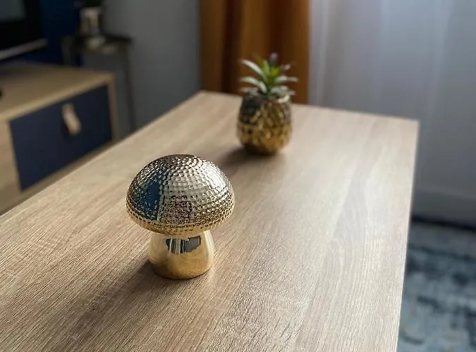 Apartment Superbe T2 Style Scandinave